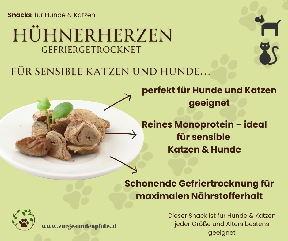 Hühnerherzen gefriergetrocknet - für sensible Katzen