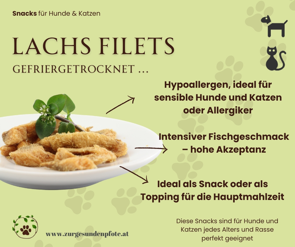 Lachsfilet gefriergetrocknet - für anspruchsvolle Katzen