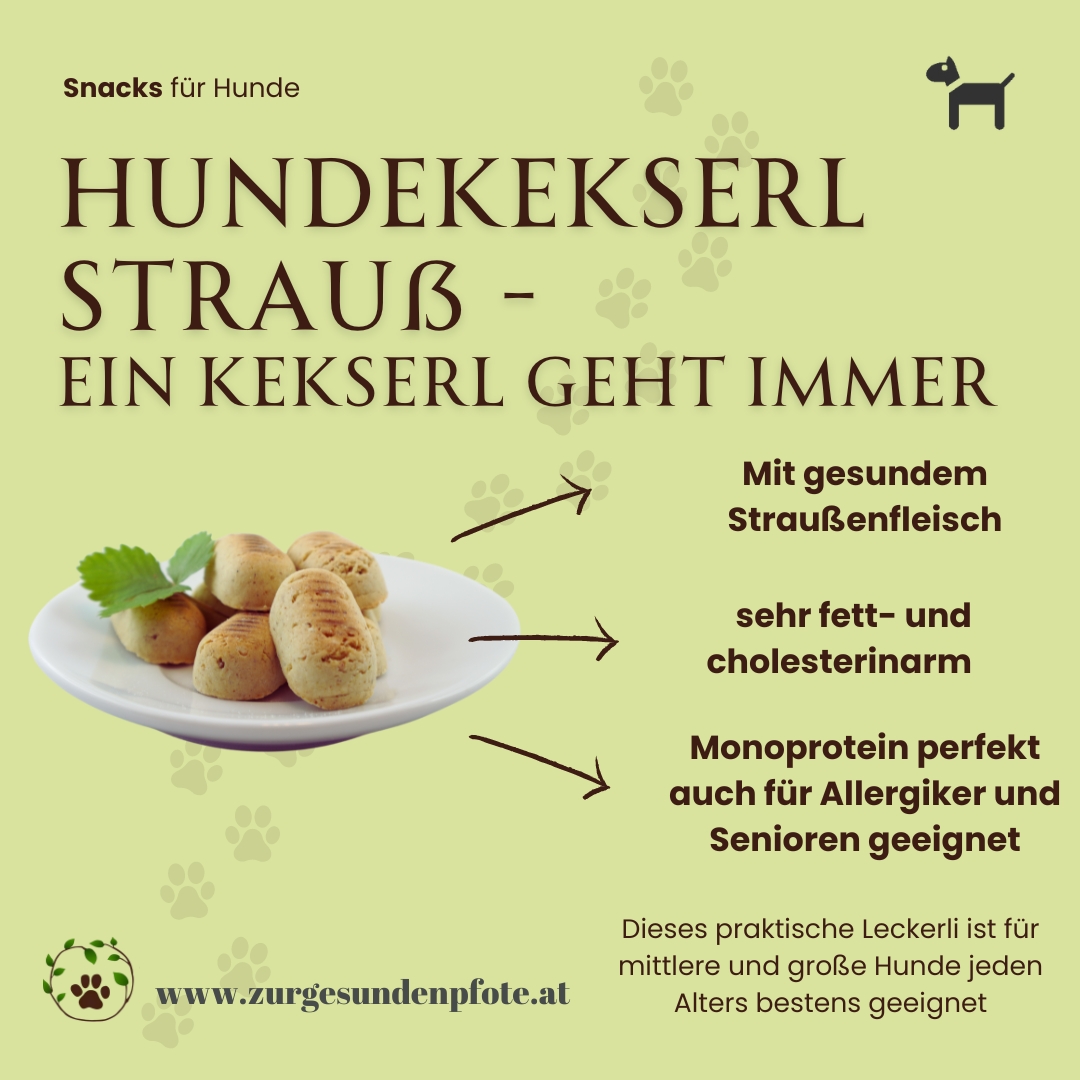 Hundekekserl Strauß - Ein Kekserl geht immer...