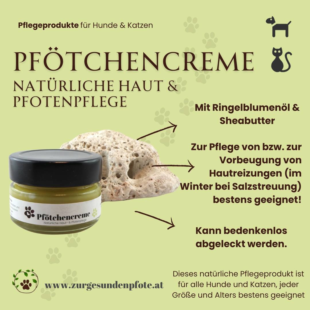 Pfötchencreme für Katzen - Natürliche Haut- & Pfotenpflege