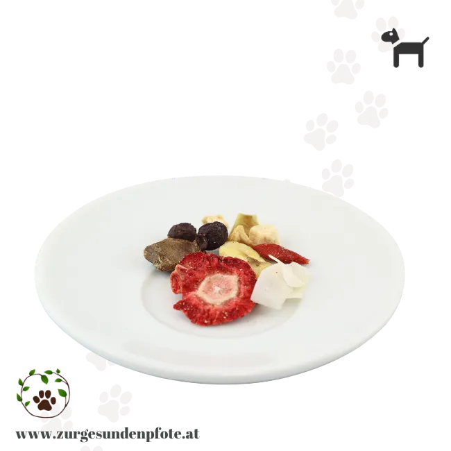 Früchte und Beerenmischung für Hunde