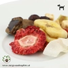 Detailaufnahme vom Früchte und Beeren Mix für Hunde
