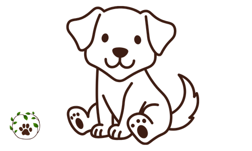 Hund