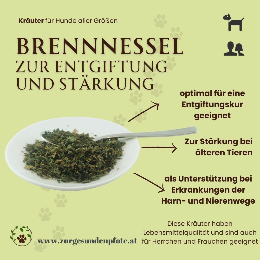 Brennnessel für Hunde - zur Entgiftung und Stärkung des Körpers - 50g