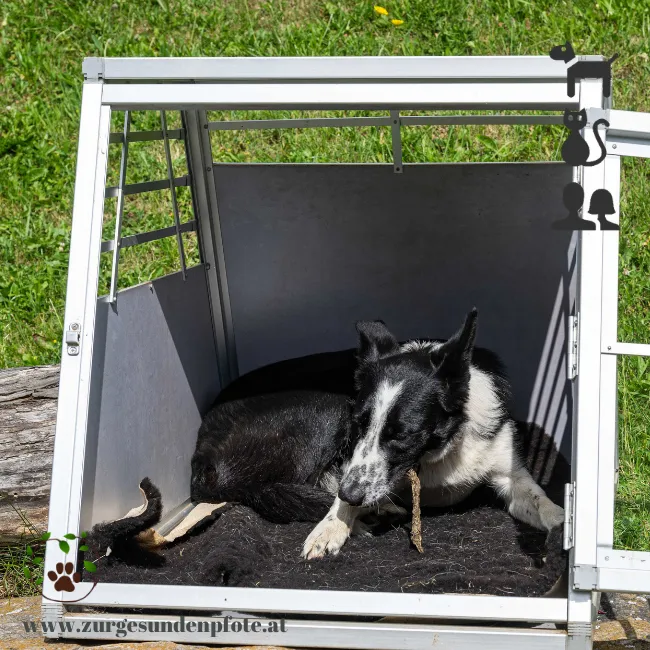 Lammfell für Hunde - für ein gesundes, kuscheliges Liegegefühl