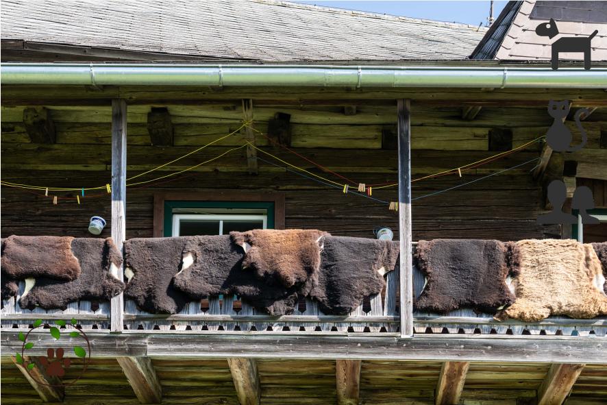 Lammfell für Katzen - Besonders weich und kuschelig