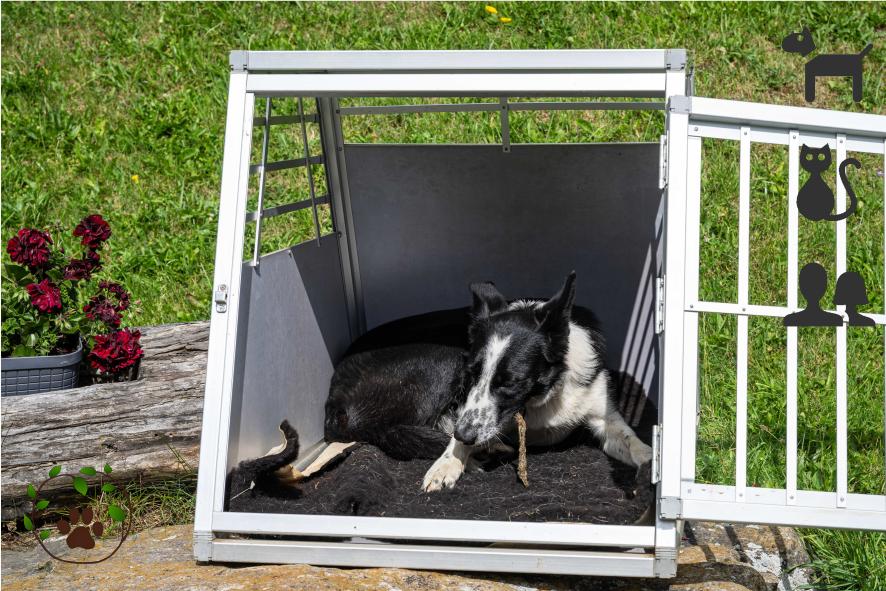 Lammfell für Hunde - für ein gesundes, kuscheliges Liegegefühl