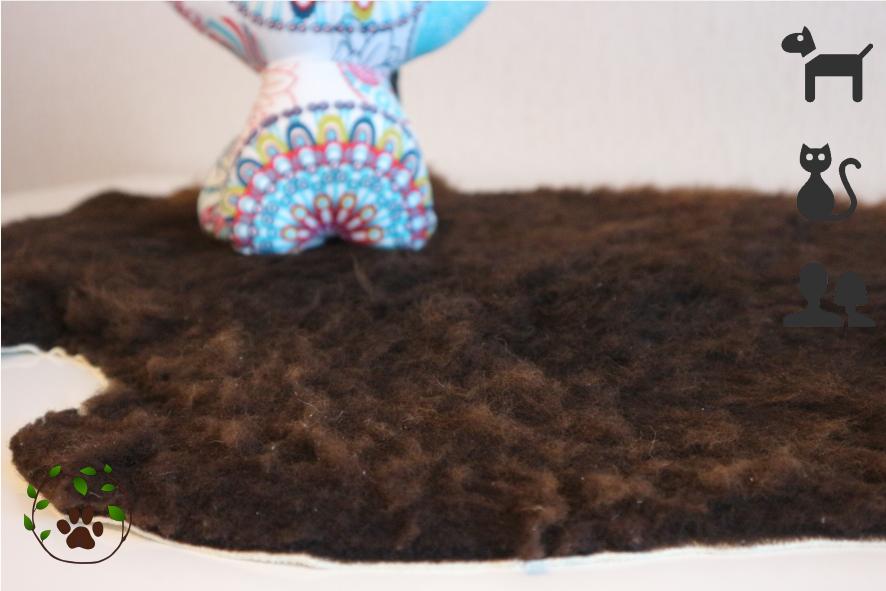 Lammfell für Katzen - Besonders weich und kuschelig